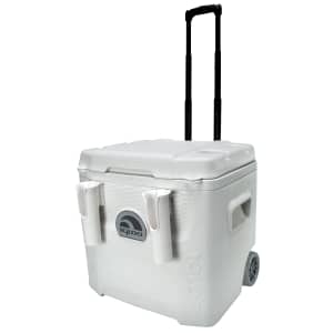 Igloo Cooler and Hydration Deals at Amazon: Up to 44% off