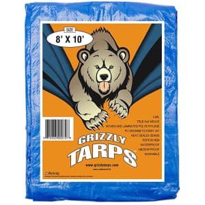 B-Air Grizzly 8x10-Ft. Tarp for $8 B-Air Grizzly 8x10-Ft. Tarp for $8