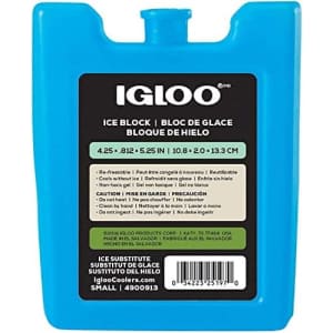 Igloo Maxcold Ice Block for $1