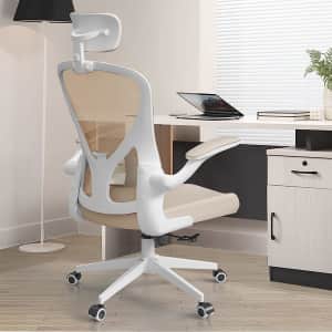 Sichy Age Ergonomic Office Chair for $100