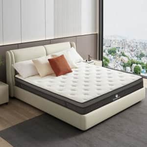 Serta perfect sleeper ashbrook shop eurotop plush king mattress