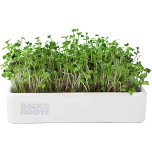 Back to the Roots Organic Microgreens Grow Kit for $6 Back to the Roots Organic Microgreens Grow Kit for $6