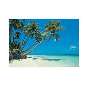 Fun Express - Tropical Beach Backdrop Banner (3 Pieces Assemble to Make 1 Backdrop) for Party - for $8