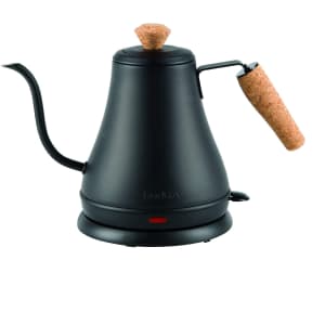 Bodum Melior 27-oz. Gooseneck Electric Kettle for $28