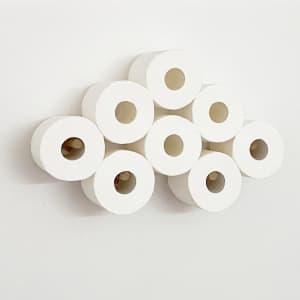 Cloud Effect 13-Roll Toilet Paper Holder for $18
