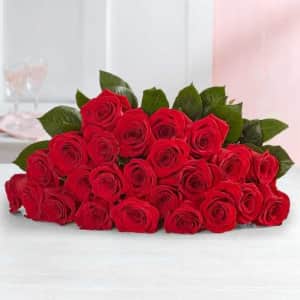 Two Dozen Red Roses at 1-800-Flowers from $40