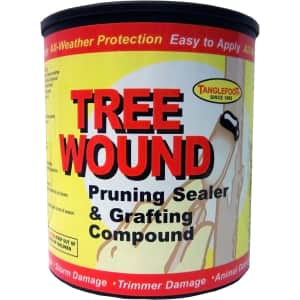 Tanglefoot Tree Wound 16-oz. Pruning Sealer & Grafting Compound for $10 Tanglefoot Tree Wound 16-oz. Pruning Sealer & Grafting Compound for $10