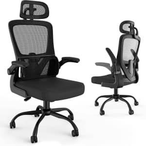 Laziiey Lumbar Support Mesh Office Chair for $106
