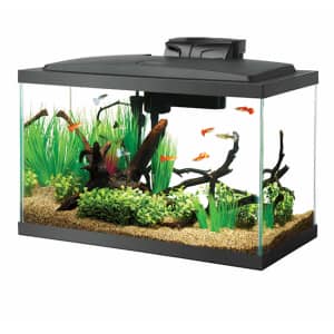 Aqueon 10-Gallon Aquarium for $10 Aqueon 10-Gallon Aquarium for $10