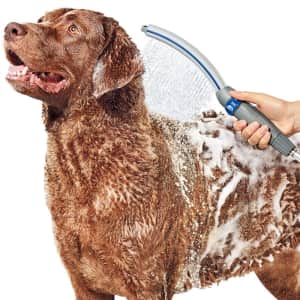 WaterPik Pet Wand Pro Shower Sprayer Attachment for $50