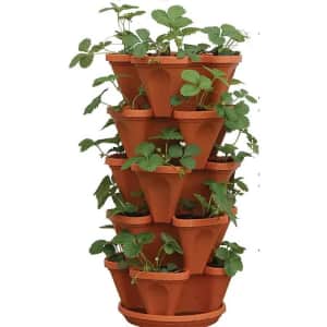 Gardening Pots, Planters & Accessories at Amazon: Up to 46% off
