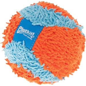 ChuckIt! Indoor Ball Dog Fetch Toy for $4