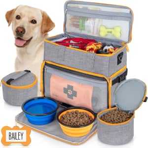 Tidify Airline Approved Dog/Cat Travel Bag for $20