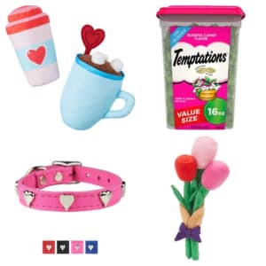 Valentine's Day Pet Supplies at Chewy: from $2