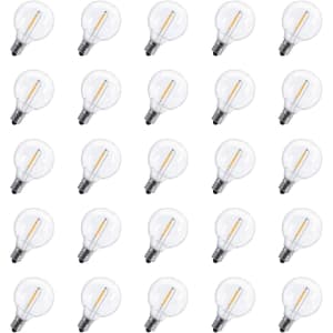 G40 LED Replacement Light Bulb 25-Pack for $15