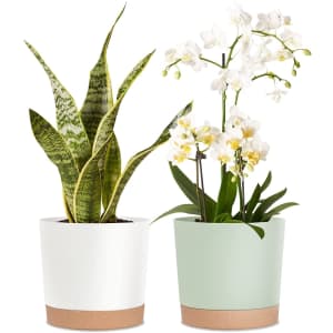 Kubvici 8'' Plastic Flower Planter Pots 2-Pack for $18 Kubvici 8'' Plastic Flower Planter Pots 2-Pack for $18