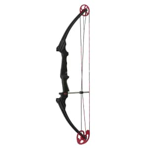 Genesis Original Archery Compound Bow for $119 Genesis Original Archery Compound Bow for $119