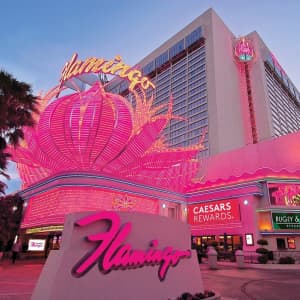 Stays at Flamingo Las Vegas. Stay on the strip at this iconic Strip hotel and casino at a $10 low.