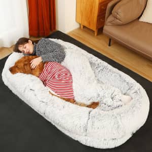 Orthopedic Dog Bed for $109