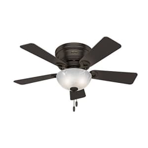 Hunter Fan Hunter Haskell Indoor Low Profile Ceiling Fan with LED Light and Pull Chain Control, 42", Premier for $116
