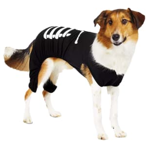 Pet Costumes at Walmart: from $4.99