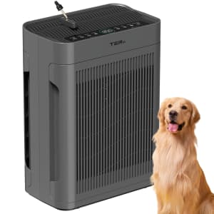 Ter Air H13 HEPA 3,000-Square Foot Air Purifier for $50 Ter Air H13 HEPA 3,000-Square Foot Air Purifier for $50