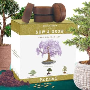 Nature's Blossom Bonsai Tree Kit. At $17 off, it's the best price we've seen.