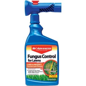 BioAdvanced 32-oz. Fungus Control for Lawns for $14