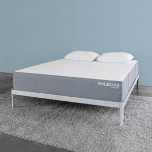 Molecule ArcticLUX 12" Cooling Antimicrobial Queen Mattress for $399 for members