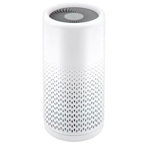 Clevast True Hepa Air Purifier for $19