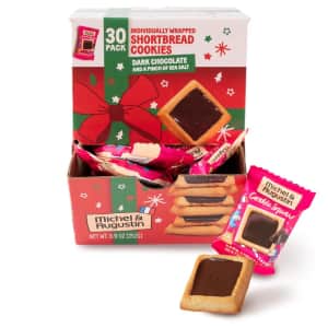 Michel et Augustin Dark Chocolate Sea Salt Cookie Squares for $11 w/ Prime