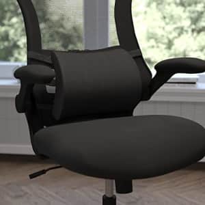 Flash Furniture CertiPUR-US Certified Memory Foam Snap Lock Adjustable Straps Office Chair and Car for $34