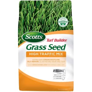 Scotts 3-Lb. Turf Builder Grass Seed for $10 Scotts 3-Lb. Turf Builder Grass Seed for $10