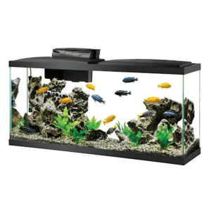 Aqueon 55-Gallon Standard Glass Aquarium Tank for $94 in cart