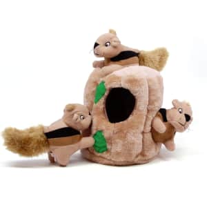 Outward Hound Large Hide-A-Squirrel Plush Dog Toy for $8 Outward Hound Large Hide-A-Squirrel Plush Dog Toy for $8