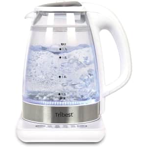 Tribest Raw Tea Kettle 1.7-Liter Electric Brewing System for $64