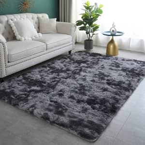 Aternoon 5x8-Foot Shag Area Rug for $23