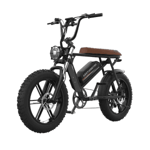 20" 750W Fat Tire Mountain Ebike for $739