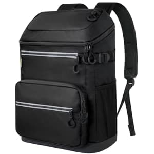 Baleine Backpack Cooler Insulated Bag for $20