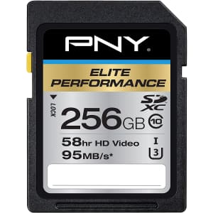 PNY Elite Performance P-SDX256U395-GE 256GB Class 10 SDXC memory card for $31 w/ Prime PNY Elite Performance P-SDX256U395-GE 256GB Class 10 SDXC memory card for $31 w/ Prime