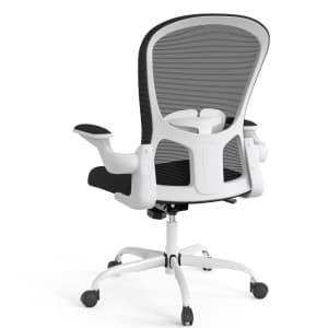 Lioncin Ergonomic Office Chair for $100