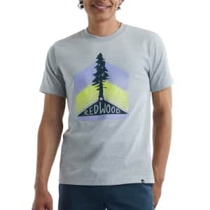 Hanes Men's Explorer Graphic T-Shirt, Lightweight Cotton Short-Sleeve Tee, LIGHT STEEL-REDWOOD for $12 Hanes Men's Explorer Graphic T-Shirt, Lightweight Cotton Short-Sleeve Tee, LIGHT STEEL-REDWOOD for $12
