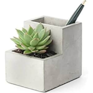 Kikkerland Concrete Desktop Planter for $15