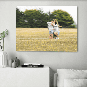 24" x 18" Canvas Prints from Canvas Champ: 3 for $39