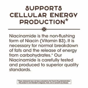 Nature's Way Niacinamide 500mg, Pack of 3 for $31