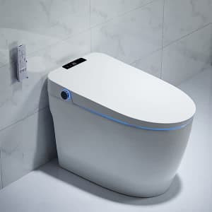 Homary Floor Mounted Smart Toliet for $616