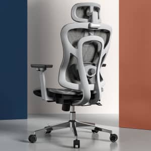 Logicfox Ergonomic Chair for $120