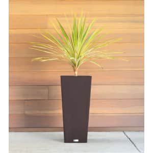 Veradek Midland 24" Tall Square Planter for $58 Veradek Midland 24" Tall Square Planter for $58