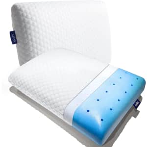 inight Memory Foam Standard Pillow 2-Pack for $33