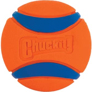 ChuckIt! Chuckit Ultra Ball XL Dog Toy for $3